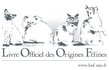logo_loof_2007_page_web