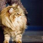IMG_3104