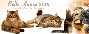 Carte de voeux Iaromira